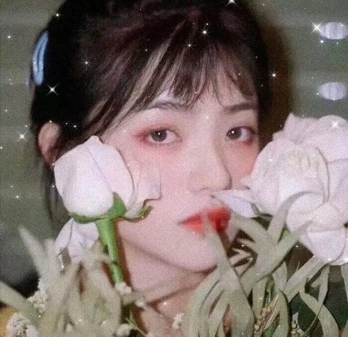 年度热映